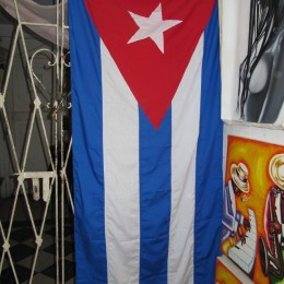 In Kuba 2011